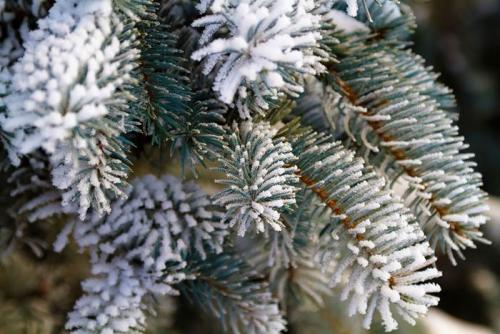 Что нельзя делать 18 февраля 2022 года. 18 февраля 2022 —, что нельзя делать на Агафью Коровницу, что можно делать, народные приметы