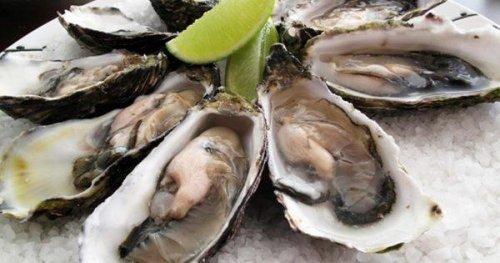 Список продуктов питания для повышения потенции. Продукты для мужского либидо 10 Список продуктов питания для повышения потенции. Продукты для мужского либидо 10