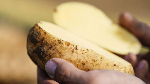 Смачно и полезно: жареная картошка всего на 149 калорий 06 Смачно и полезно: жареная картошка всего на 149 калорий 06