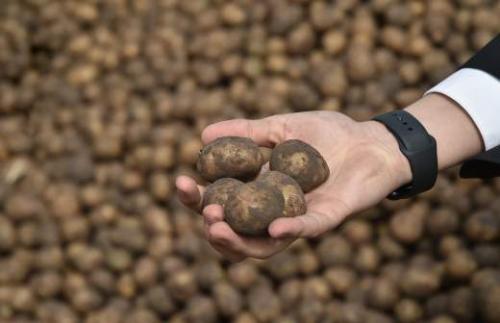 Картофель в правильном питании: 10 вопросов и ответов 03 Картофель в правильном питании: 10 вопросов и ответов 03