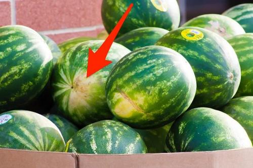 Арбуз когда можно есть. Красный и без нитратов: как выбрать арбуз в июле 2022 года – 5 важных советов