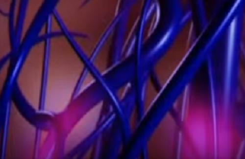 Слабые сосуды симптомы. «Транспортный коллапс»: причины и следствия