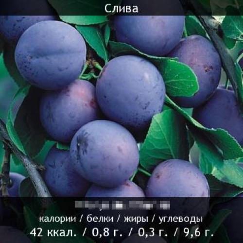 Сколько калорий в 1 большой фиолетовой сливе. Свежая синяя слива. Польза и вред, калорийность на 100 грамм, в 1 шт, белки, жиры, углеводы