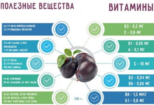 Сколько калорий в 1 большой фиолетовой сливе. Свежая синяя слива. Польза и вред, калорийность на 100 грамм, в 1 шт, белки, жиры, углеводы
