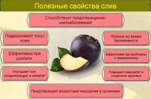 Сколько калорий в 1 большой фиолетовой сливе. Свежая синяя слива. Польза и вред, калорийность на 100 грамм, в 1 шт, белки, жиры, углеводы