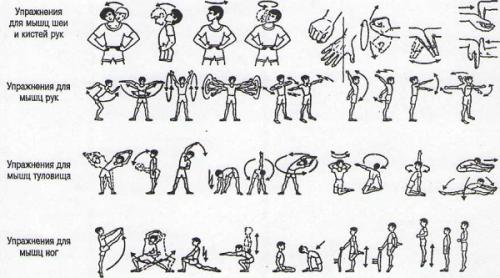 Программа тренировок для девушек в тренажерном зале для похудения с картинками. Программа упражнений в тренажерном зале для девушек для похудения и накачки мышц