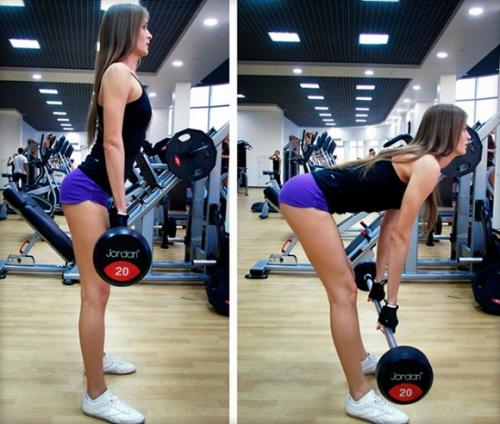 Программа тренировок для девушек в тренажерном зале для похудения с картинками. Программа упражнений в тренажерном зале для девушек для похудения и накачки мышц