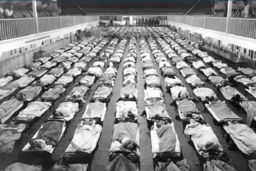 Какие последствия имел легендарный вирус. Два всадника Апокалипсиса