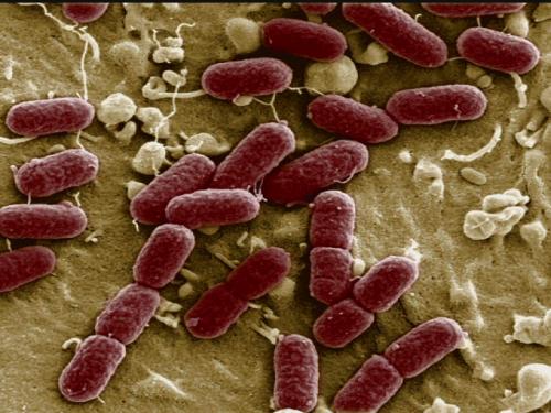 Простатит: как справиться с приступом 02