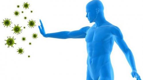 Что такое иммунитет и как он влияет на способность организма противостоять инфекциям. «Иммунитет пациента с ВИЧ похож на иммунитет пожилого человека»