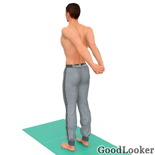 Какие упражнения на растяжку и гибкость лучше делать для спортсменов. Топ-40 несложных упражнений на растяжку для мужчин (стоя и лежа)