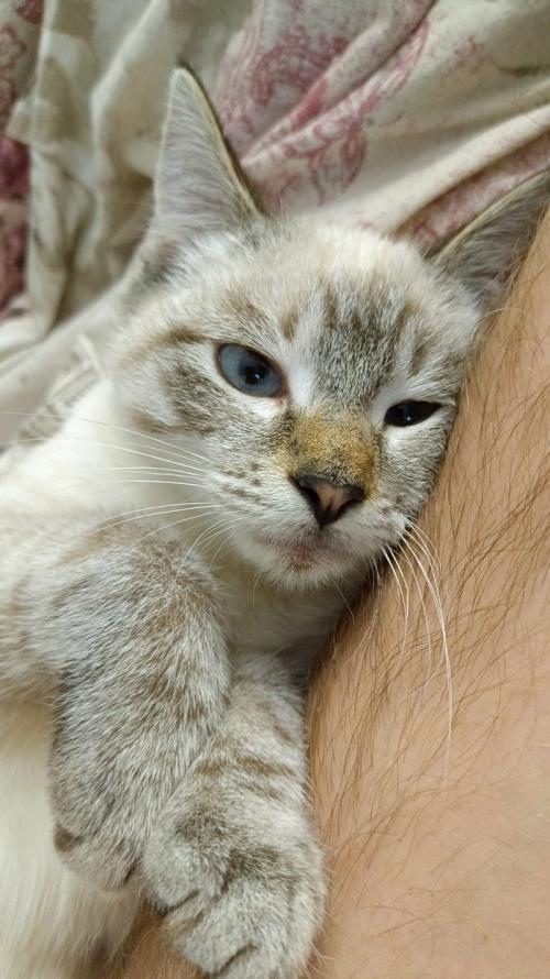 За 2 месяца 20 кг скинуть. Как я сбросил 20 кг за 2 месяца