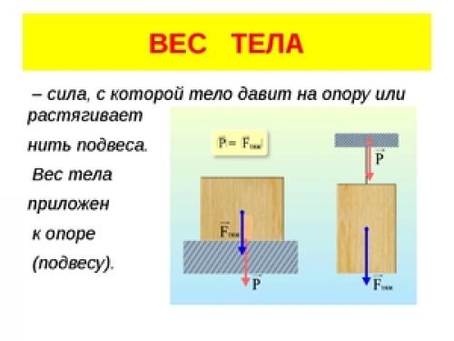 Формула веса тела. Как измерить вес тела