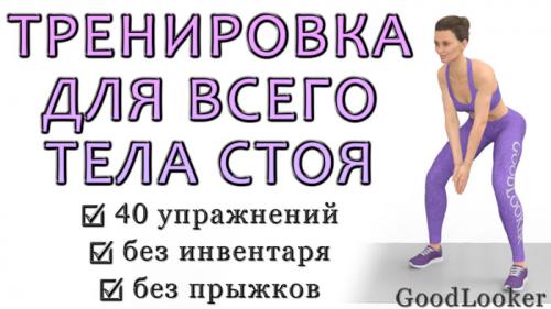 Тренировка на все тело без прыжков. Тренировка для всего тела стоя без прыжков: подтягиваем тело и убираем проблемные зоны (40 упражнений)