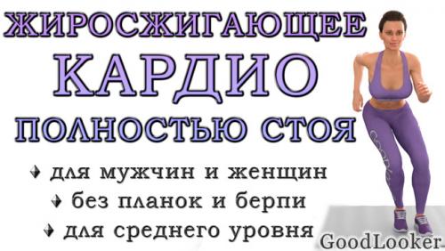 Кардио тренировка дома. Кардио-тренировка полностью стоя для сжигания жира (средний уровень, без планок и берпи)