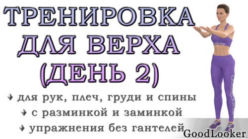 Упражнения для рук без инвентаря. Тренировка для рук, плеч, груди и спины: День 2 (Программа для начинающих на 7 дней)