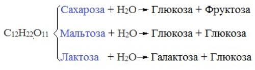 Калорийность сахара и его свойства. Виды сахара 08 Калорийность сахара и его свойства. Виды сахара 08