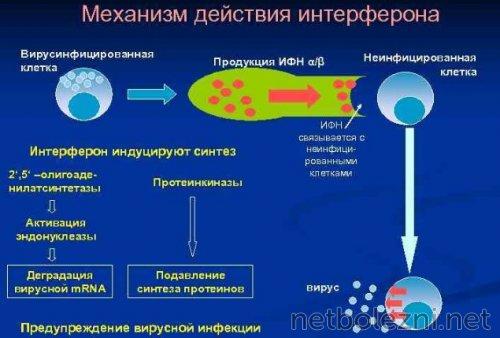 Лечение коронавируса: все, что вы должны знать о лекарствах 04 Лечение коронавируса: все, что вы должны знать о лекарствах 04