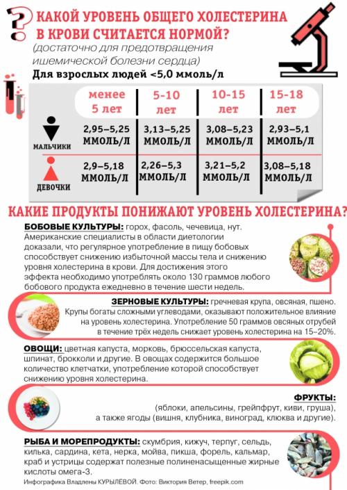 Как меда влияет на уровень холестерина в крови. Не в яйце дело. Какие продукты не повышают уровень холестерина?