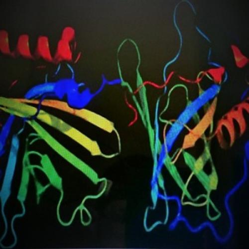 Что едят при панкреатите. «Запретные» продукты: от чего при панкреатите следует отказаться 12