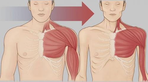 Питание в условиях хронического стресса. Профилактикой, каких заболеваний является сбалансированное питание? 01