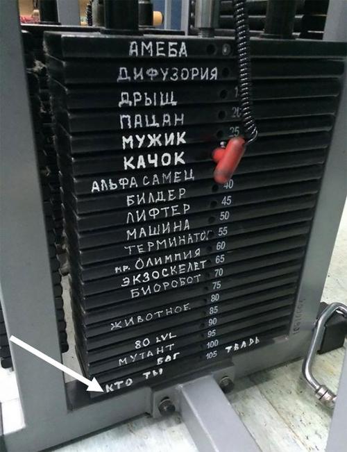 Как интенсивные тренировки на руках могут помочь развить силу и гибкость