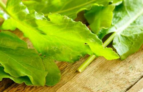 Можно ли есть арбуз при похудении на диете. Полезен ли арбуз при похудении? 03 Можно ли есть арбуз при похудении на диете. Полезен ли арбуз при похудении? 03