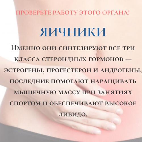 Помогают ли похудеть упражнения по утрам. Что проверяем? 02