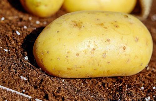 Что такое картофель бжу и КБЖУ на 100 грамм. БЖУ картофеля