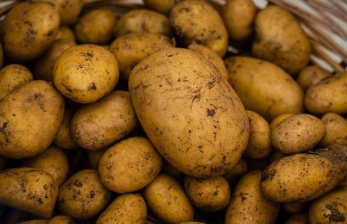 Что такое картофель бжу и КБЖУ на 100 грамм. БЖУ картофеля