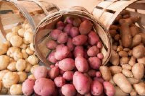 Какие факторы влияют на калорийность картофеля