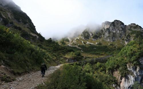 Сколько сжигается калорий при ходьбе 1 км. Ходьба пешком: виды, польза, расход калорий