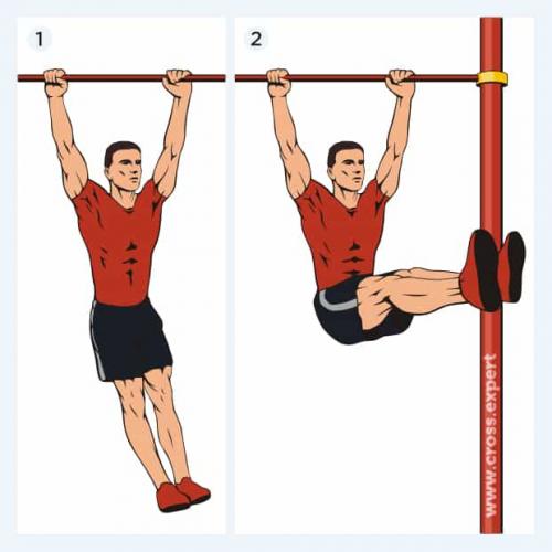 Тренировка пресса для новичков. Эффективные упражнения в зале