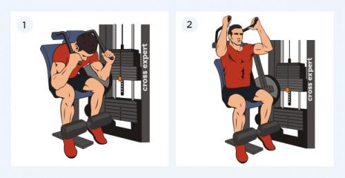 Тренировка пресса для новичков. Эффективные упражнения в зале
