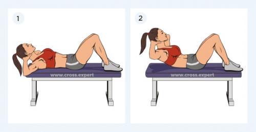 Тренировка пресса для новичков. Эффективные упражнения в зале