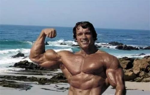 Арнольд стал бессмертным. 10 интересных фактов об Арнольде Шварценеггере