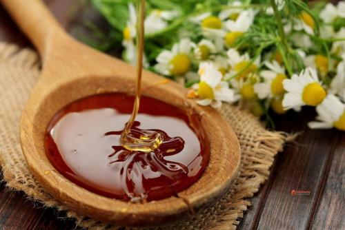 Мед: загадочная пища для здоровья 03