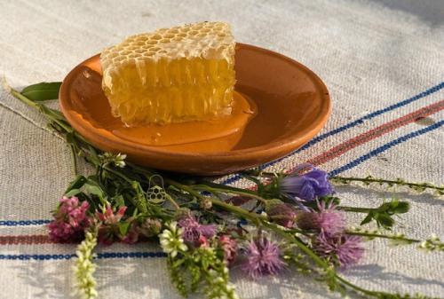 Может ли мед помочь в борьбе с инфекциями. Пять простых способов борьбы с простудой при помощи мёда.