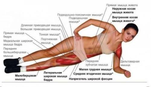 Какие планки лучше всего подходят для начинающих. 10 планок для похудения для начинающих с таблицами, фото и видео