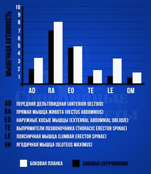 Можно ли заменить планки другими упражнениями для живота. Скручивания против планки