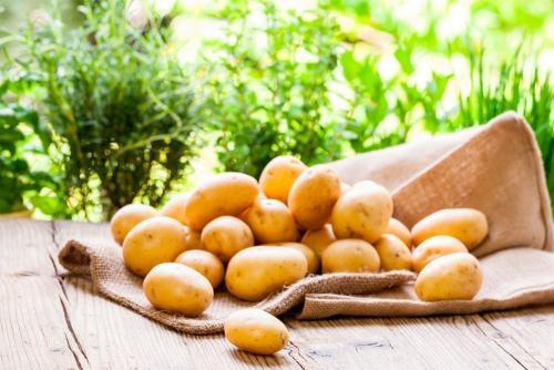 Сколько калорий в молодом отварном картофеле в кожуре 03 Сколько калорий в молодом отварном картофеле в кожуре 03