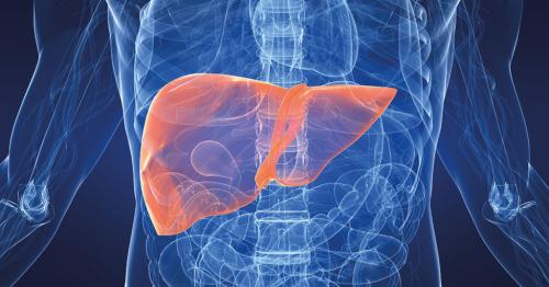 Как правильно питаться при жировом гепатозе. Диета при жировом гепатозе 01