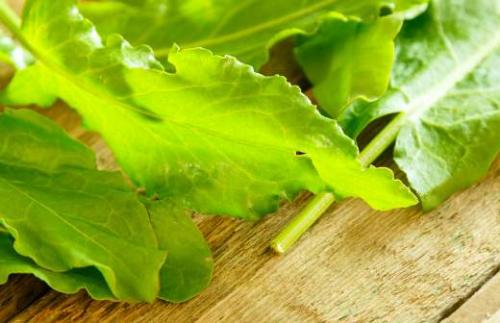 Почему диетолог утверждает, что арбуз не помогает похудеть 06