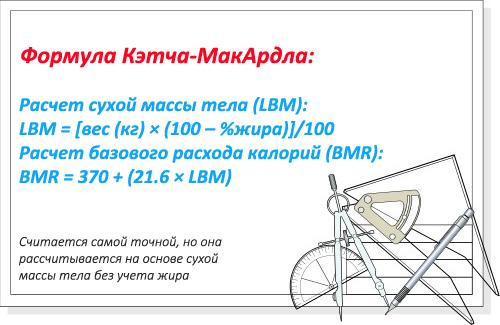 Питание и физическая активность: как правильно подойти к увеличению сжигания калорий 05 Питание и физическая активность: как правильно подойти к увеличению сжигания калорий 05