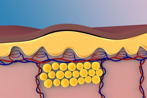 Какая роль играет высыпание в процессе сжигания калорий. // Как именно сжигается жир?