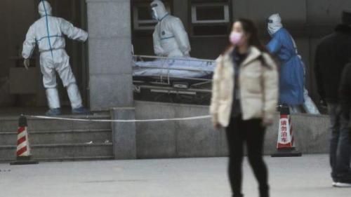 Пять загадочных путей, по которым мог появиться коронавирус 06 Пять загадочных путей, по которым мог появиться коронавирус 06