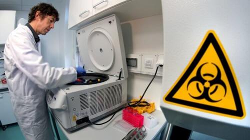 Мог ли коронавирус появиться в результате природного эволюционного процесса. Откуда взялся новый коронавирус?