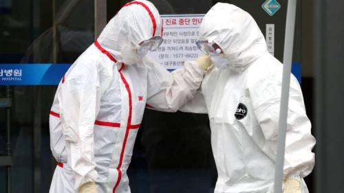 Какие животные могут быть промежуточными хозяевами коронавируса. Болеют ли животные COVID-19?