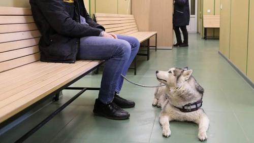 Разоблачение: 20 самых распространенных мифов о коронавирусе 06