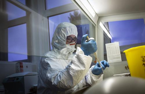 Как китайцы раскрыли страшную правду о происхождении коронавируса 02